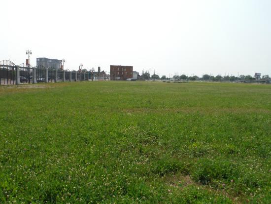 Tiger Stadium Site