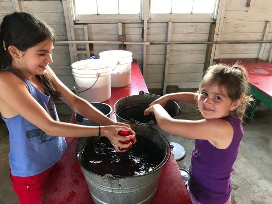 Lehman's Orchards