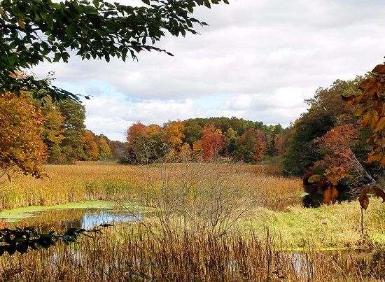 Hemlock Crossing