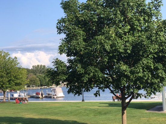 Coghlin Park