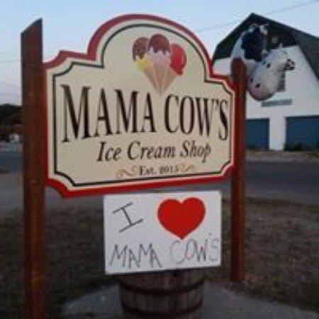 Mama Cow's