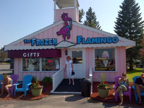 Frozen Flamingo The