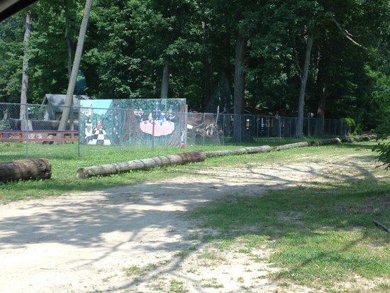 Deer Forest Exotic Animal Sanctuary