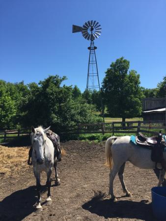Rockin R Ranch
