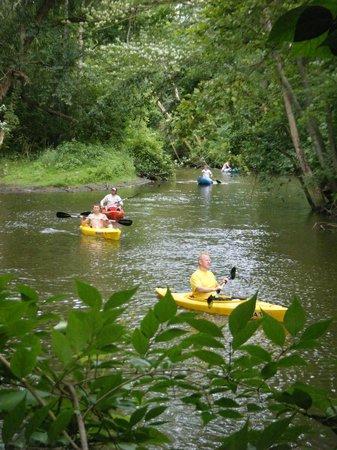Tecumseh Paddling Company