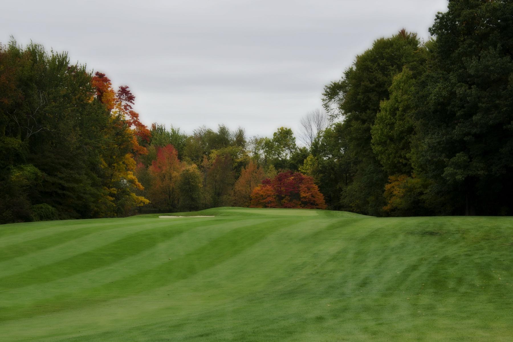 Blackberry Patch Golf Club