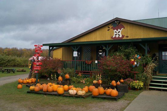 Knaebe's Mmmunchy Krunchy Apple Farm & Cider Mill