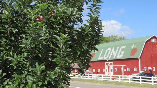 Long Family Orchard