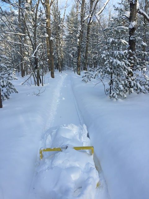 VASA Singletrack Trailhead