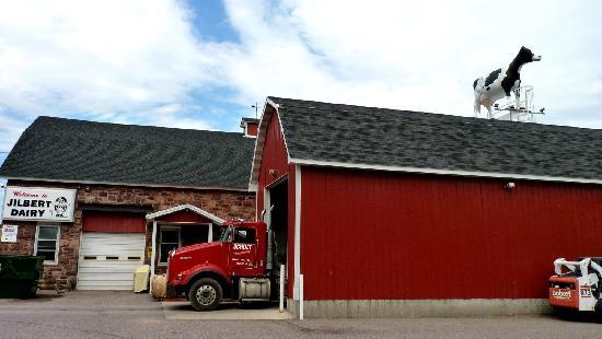 Jilbert Dairy
