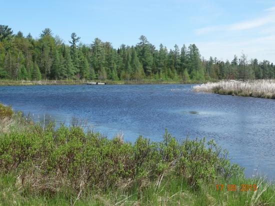 Grass River Natural Area