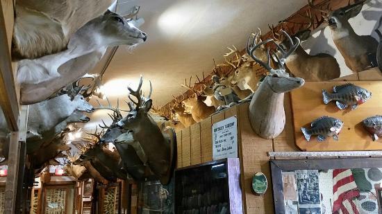 Guntzviller's Spirit of the Woods Museum