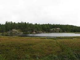 Wetmore Pond